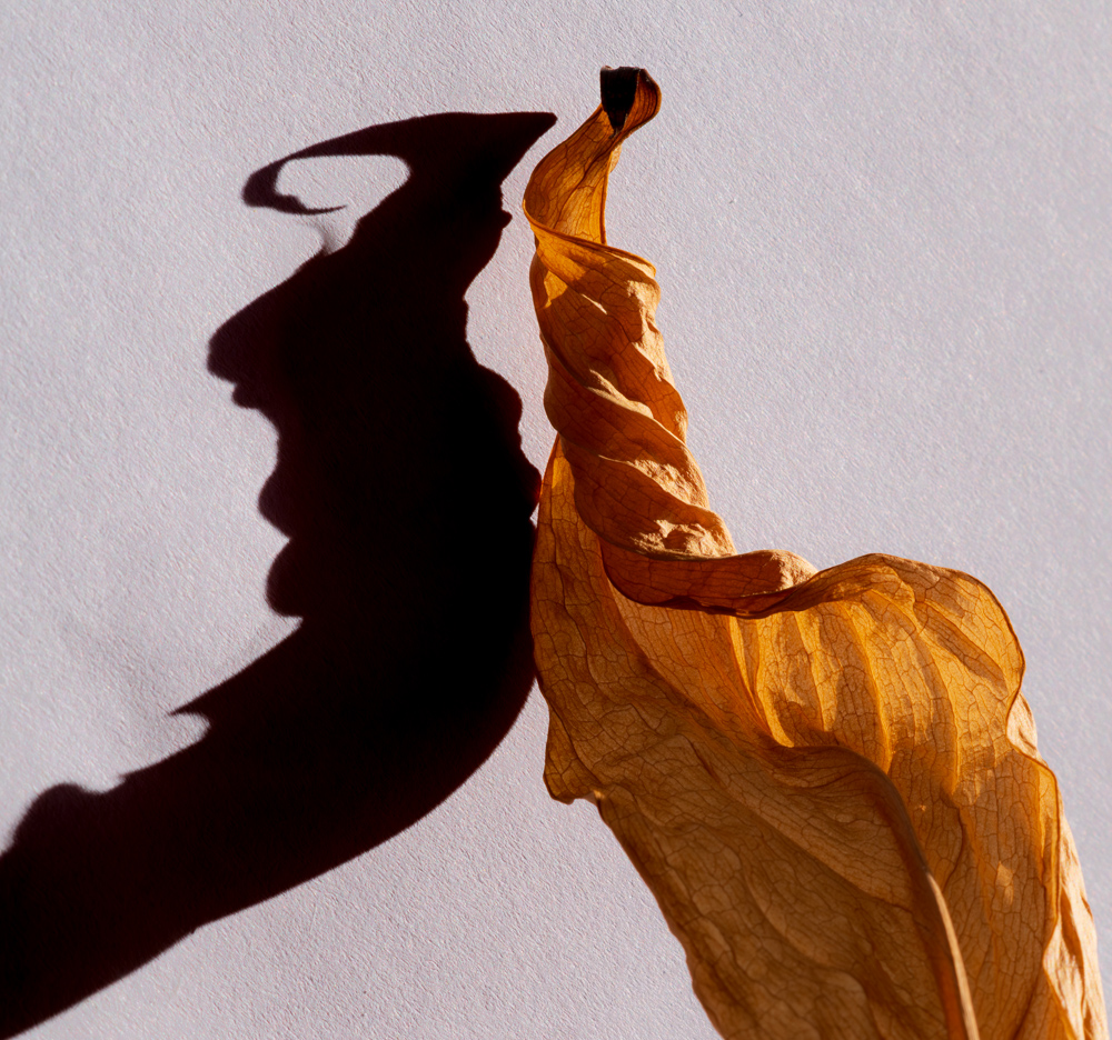 Platz 3 Juergen Bernd